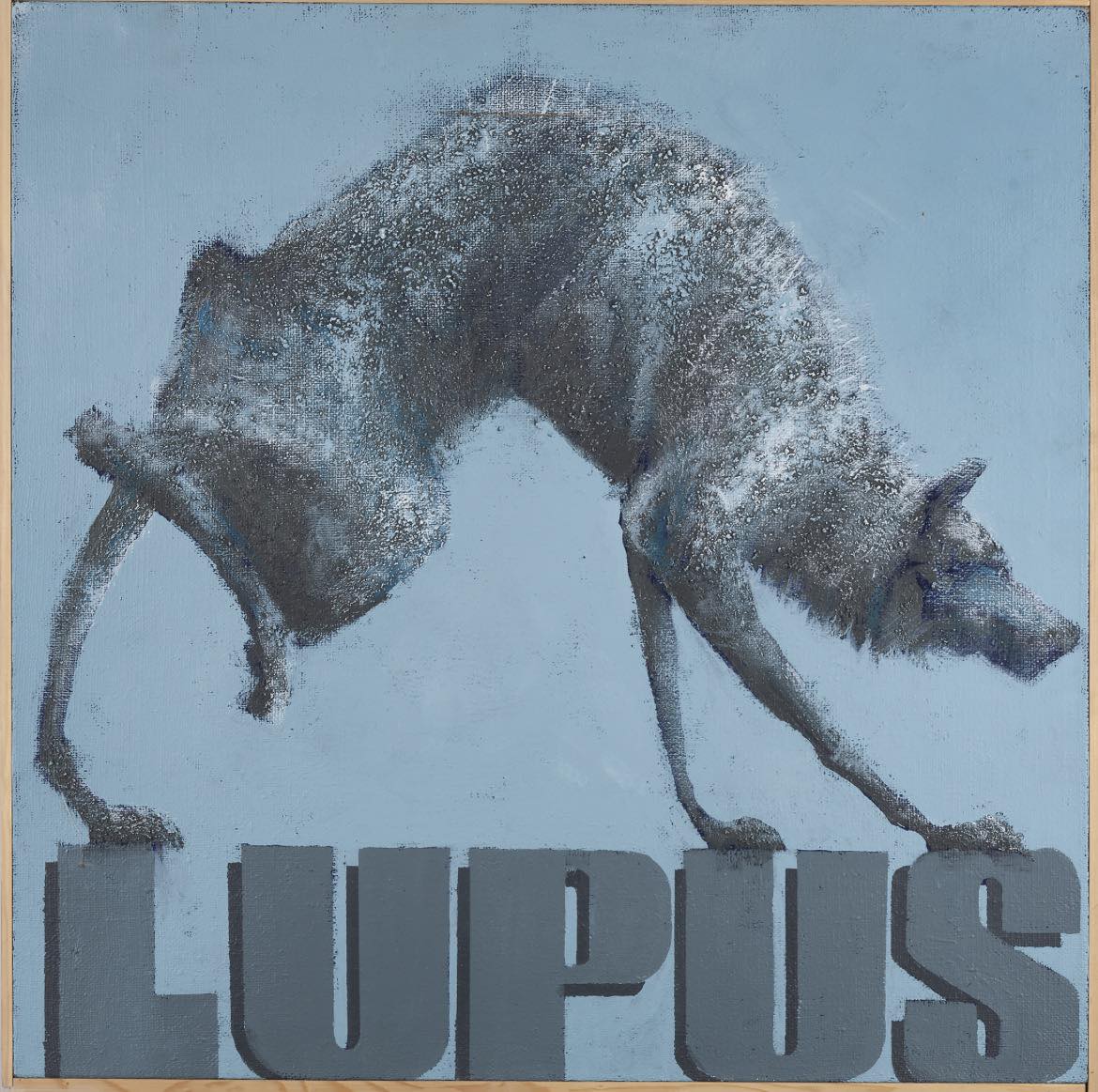 viber slika 2026 03 03 08 47 29 484